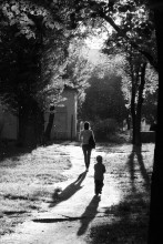 Gegen das Licht / ***