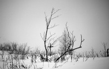 Ohne Titel / _____________