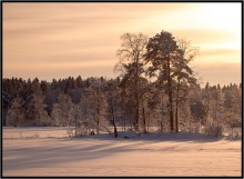 Winter Abend ... / ***