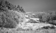 Winter Winter / ***