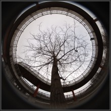 Spirale / ***