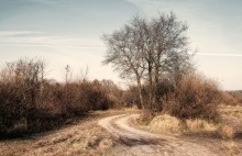 Herbst / ***