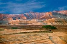 Desert / ***