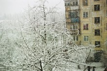 gemütliche Winterabende / ***