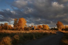The Way Home / ***