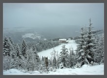 Winterabend im Schwarzwald / ***