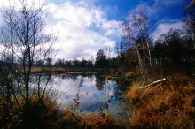 Herbst, Teich. / ***