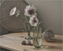 DREI Anemone " / ***