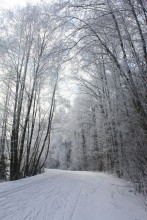 Waldlehrpfad / ***