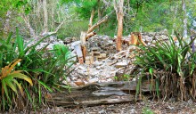 Lost City / .....