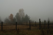 Morgennebel. / ***