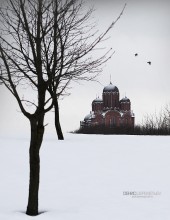 Raben in den Himmel, unter dem Himmel ... / ***
