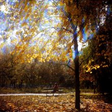 Herbst im Park. / ***