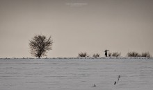Mönch / ***