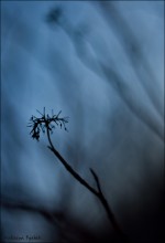 Geister der Vergangenheit / ***