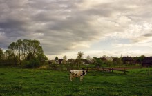 Außerhalb des Dorfes Zaleshany / _______________________