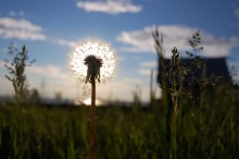 unter der heißen Sonne / *****