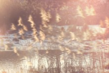 Sonnenwind / .....