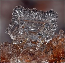 Nerastoplennoe Glanz ... / ***