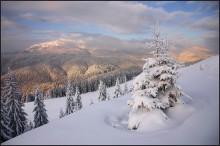 Morgen - Winter / ***
