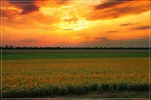 Sonnenuntergang / ***