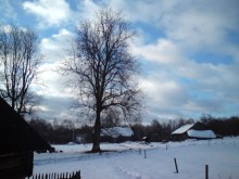 Winter / ***