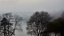 Nebel / ***