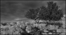 Wind / ***