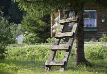 Treppe / ***