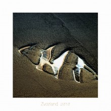 FISH / ***