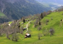 Haus im Dorf / ***