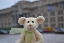 Bären auf der Allee / ***