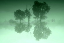 Nebel / *****