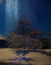 Winter\'s Tale / ***