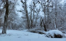 Winter Schweigen / ***