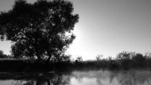 Auf dem Fluss / *****