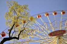 Minsk / ***