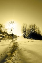 Ohne Titel / no name