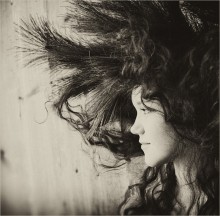Baum / ***