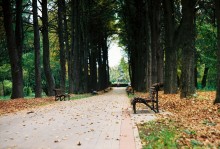 Herbst / ***