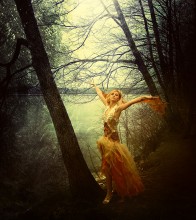 Bird / Alise Ketnere(FOX LIMA)