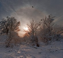 Flug über den Sonnenuntergang ... / ***