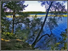 oz.svityaz / ***