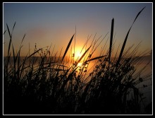 Morgen / ***