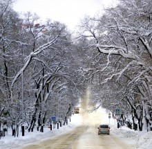 Winter ... / ***