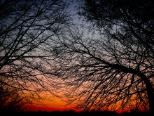 Sunset skvozb Weben ... / ***