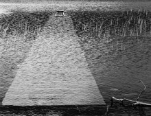 Brise / ***