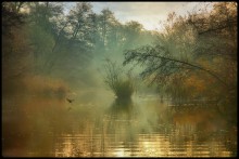 Schleichende durch den Nebel der Ruhe Yerik / *****