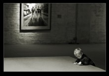 Einmal an der Ausstellung / ***