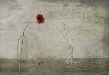 Romeo und Julia / ***